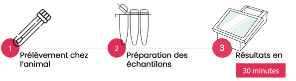 2026-infographie-schema-3-steps-fr-Enalees