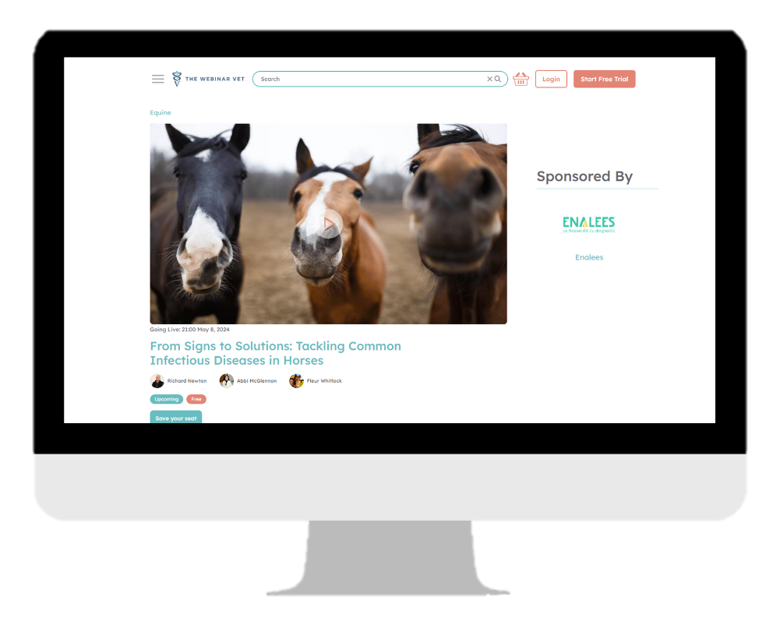 Webinar Enalees