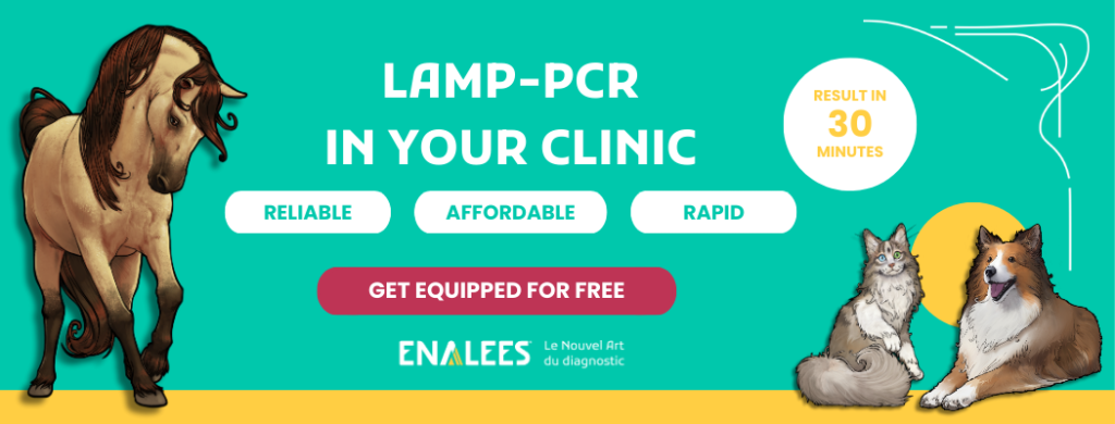 2025-VetShare Banner SI