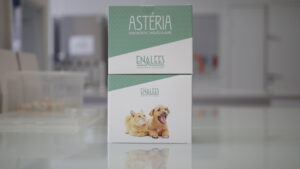 Kit de diagnostic rapide | détection du parasite responsable de l'hématobartonellose chez le chat et chien | anémie féline et canine | Enalees